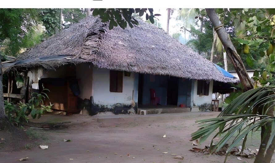 Budget-Friendly Interior Design Tips for Kerala Homes