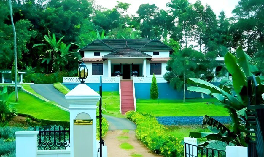Sustainable Living on a Budget: Eco-Friendly Practices for Kerala Homes